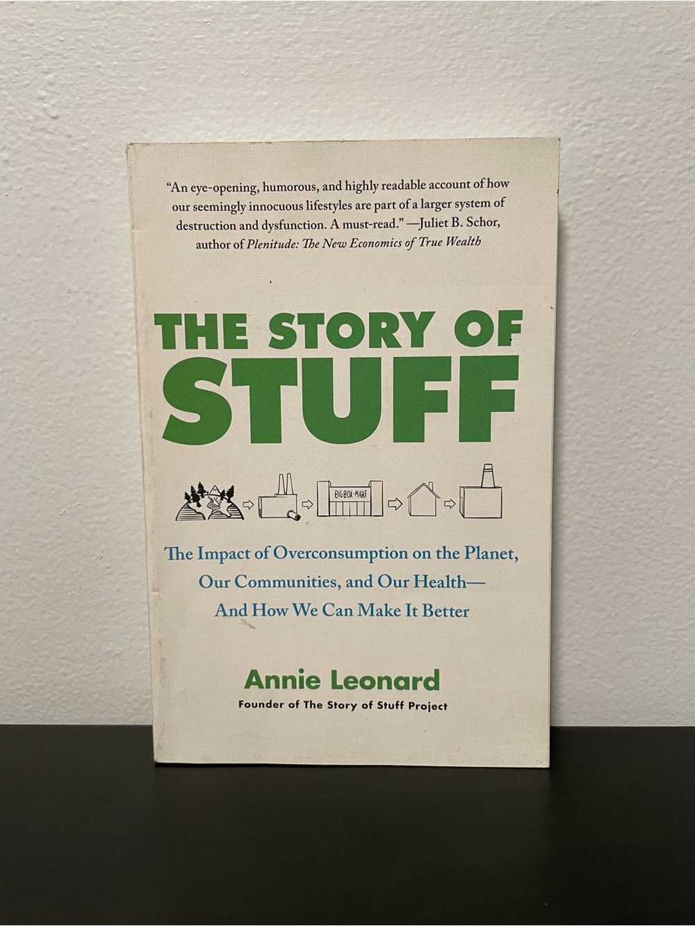 The Story Of Stuff Annie Leonard Book Impact of Overconsumption On The Planet